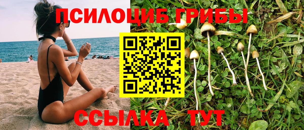 Псилоцибиновые грибы прущие грибы Брянск